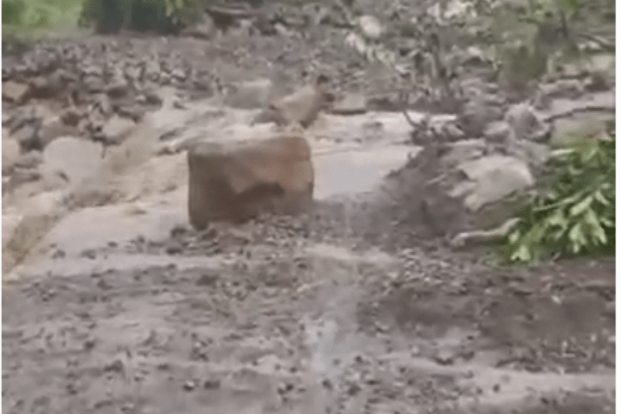 Lluvias San Judas Tadeo- Táchira
