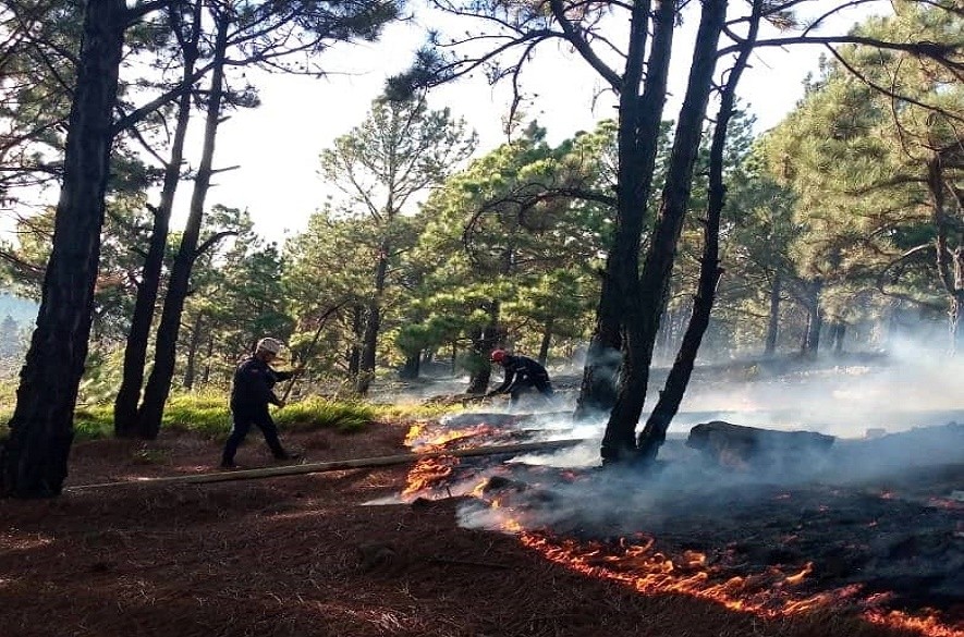 Incendio en lobatera