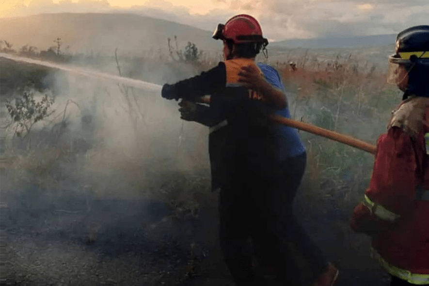 Combaten incendio de vegetación en la parte alta de San Cristóbal