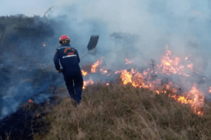 Incendios en Táchira sobrepasan las cifras históricas