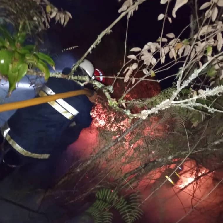  Incendios en Táchira sobrepasan las cifras históricas