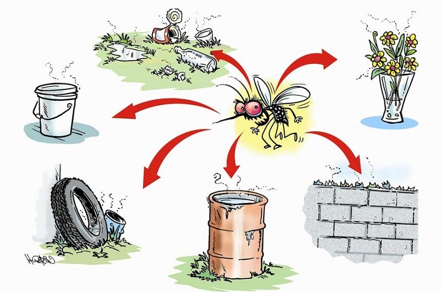 Dengue noticias táchira