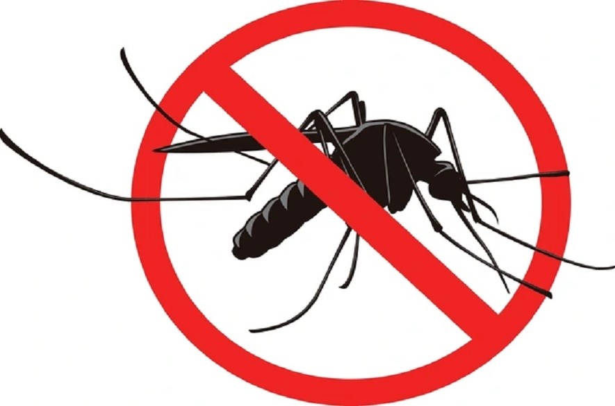 Dengue noticias táchira