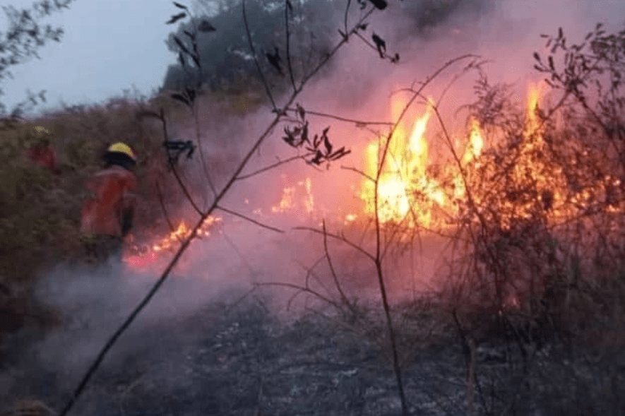 Controlaron incendio en el Cerro La Mantellina municipio Guásimos