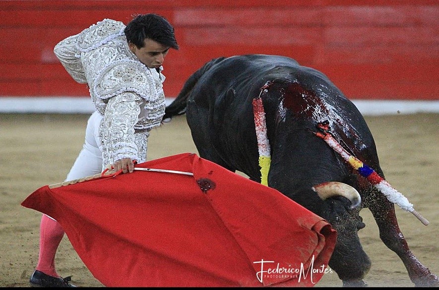 Torero José antonio valencia noticias táchira