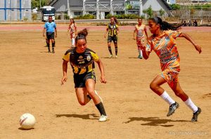 Aurinegras noticias táchira