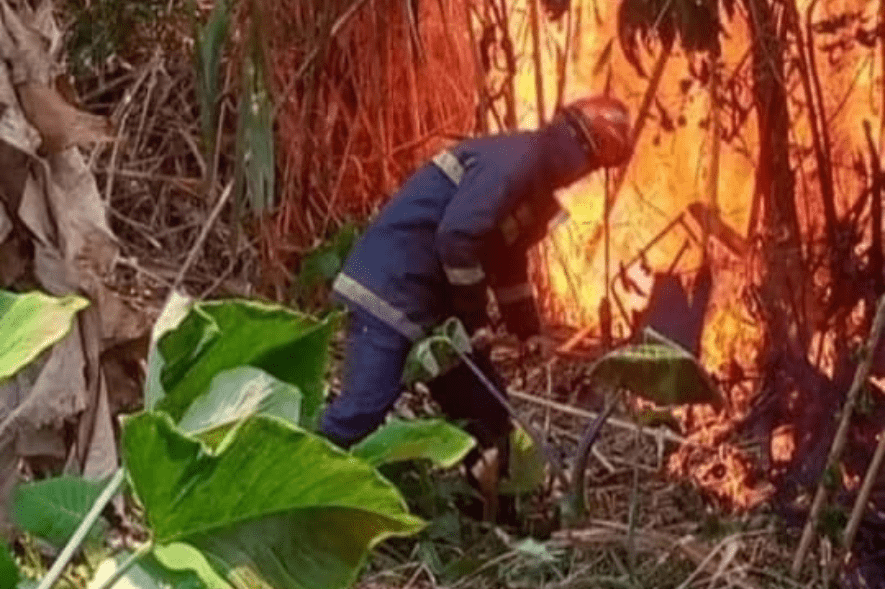 Encienden las alarmas por altas cifras de incendios