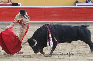 Fabio Castañeda torero