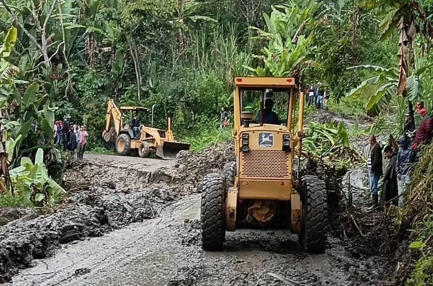 Queniquea san josé de bolivar