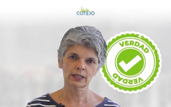 Ligia Bolivar derechos humanos venezuela