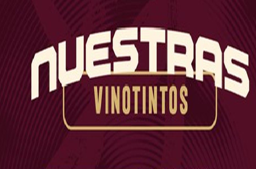 Convocadas a la vinotinto femenina portada