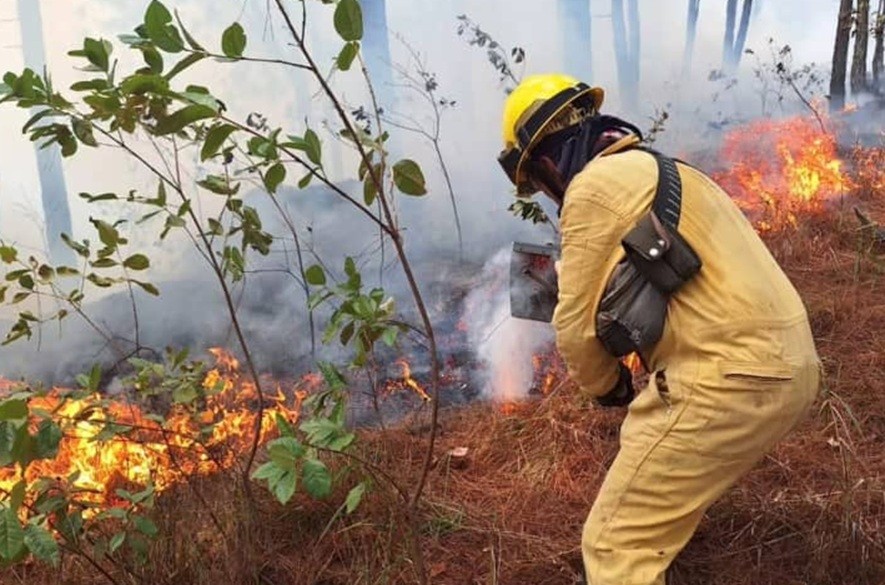 Incendio forestal en rubio portada