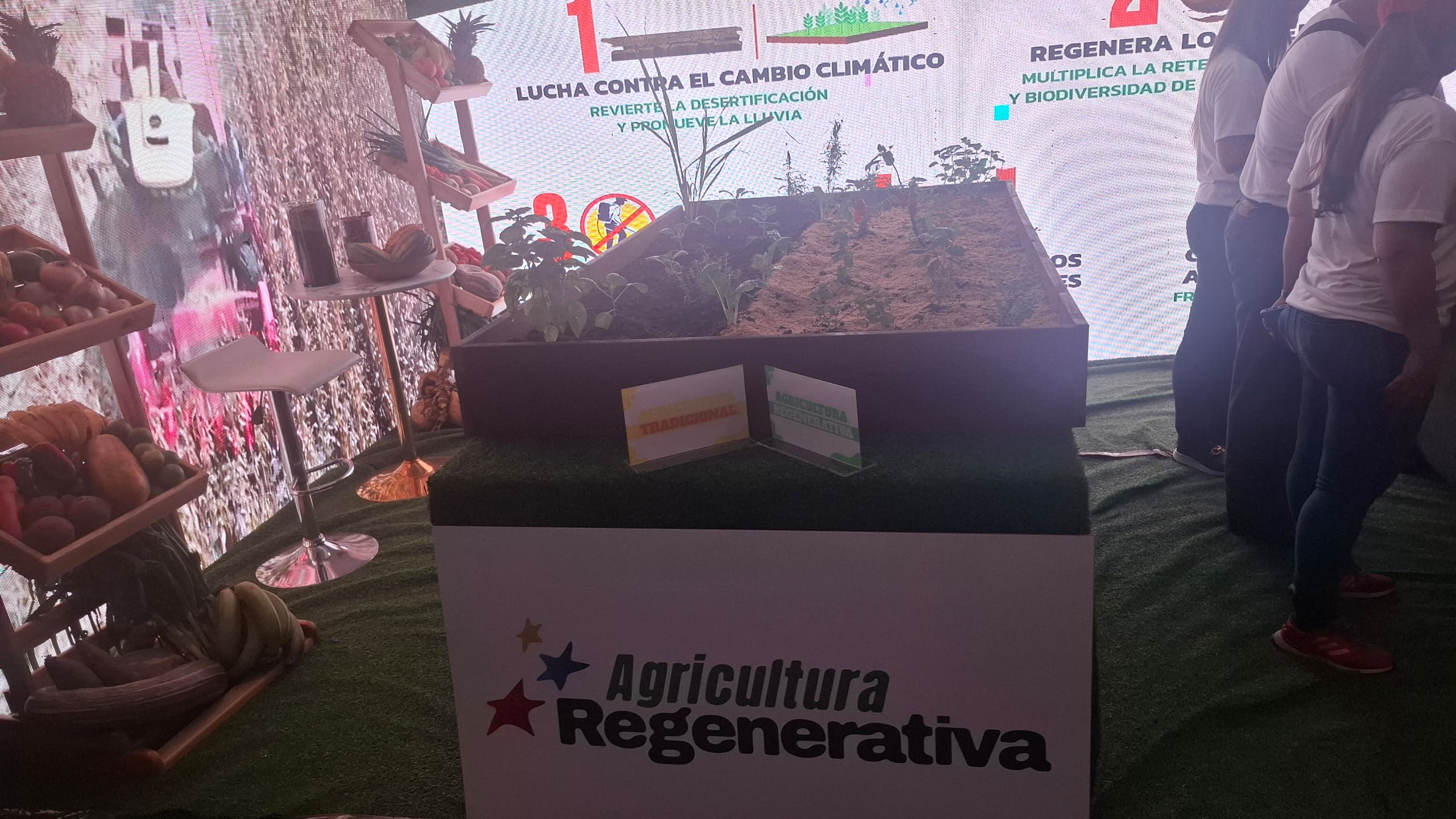 Inicia la Expo Feria Niños Productores 2025 en el Táchira