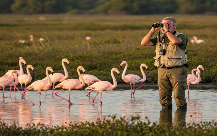 Día Mundial de las Aves Migratorias se celebra este 10 de mayo