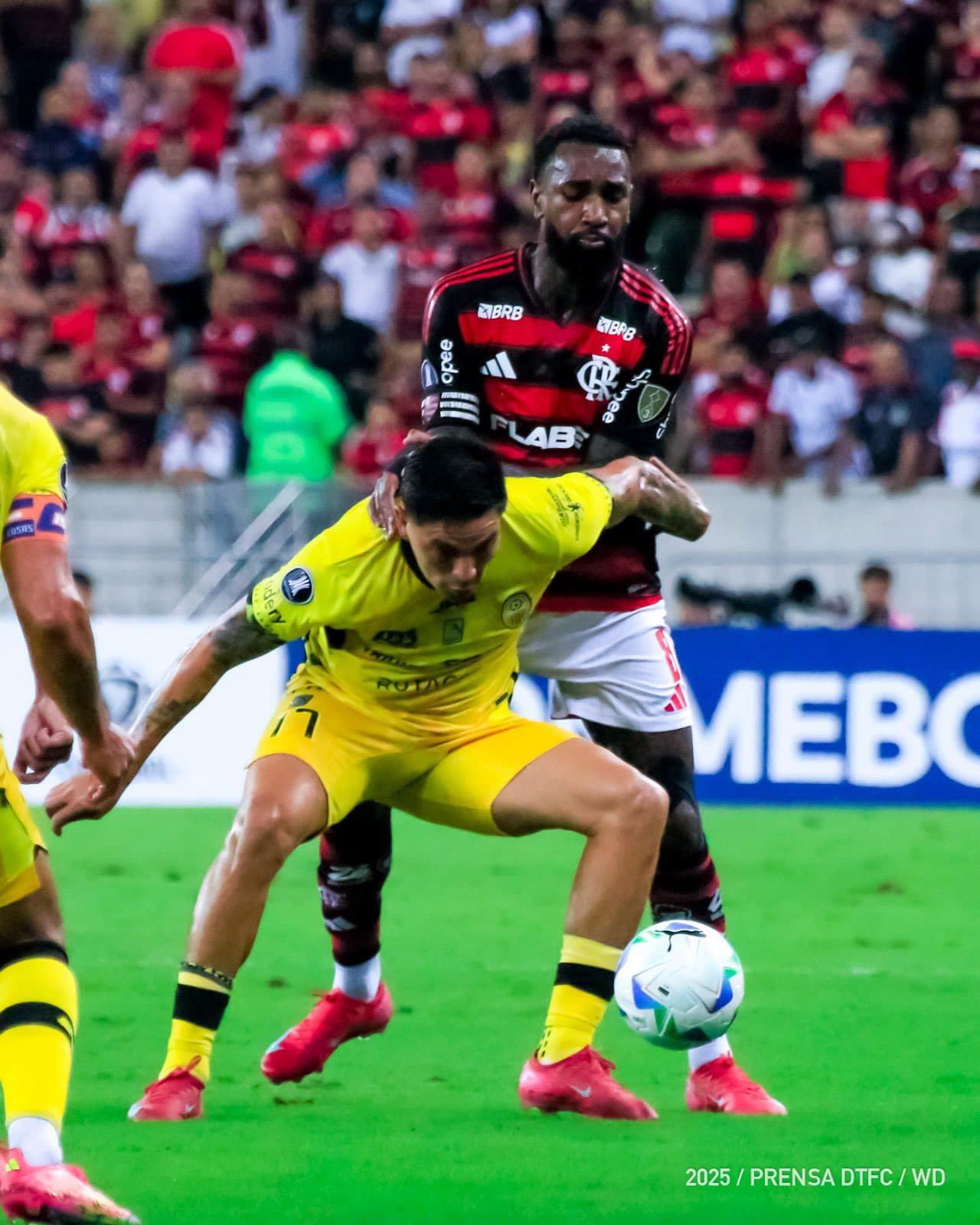 Deportivo Táchira cierra con derrota su paso por Liberadores