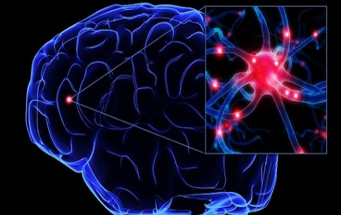 Mindfulness Un Faro de Calma para tu Salud Mental