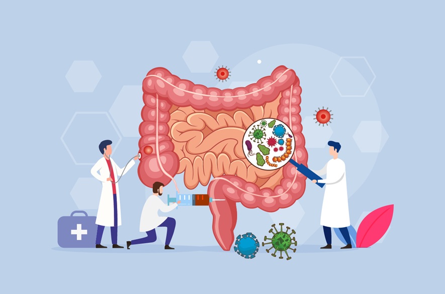 La clave de tu salud está en el intestino