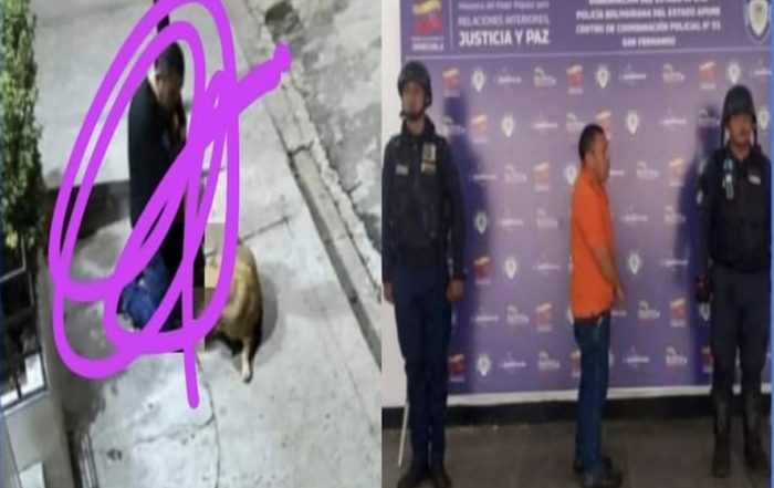 Intentó violar a una perra y lo detuvieron