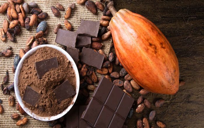 Dale un mordisco a tu salud El poder oculto del chocolate