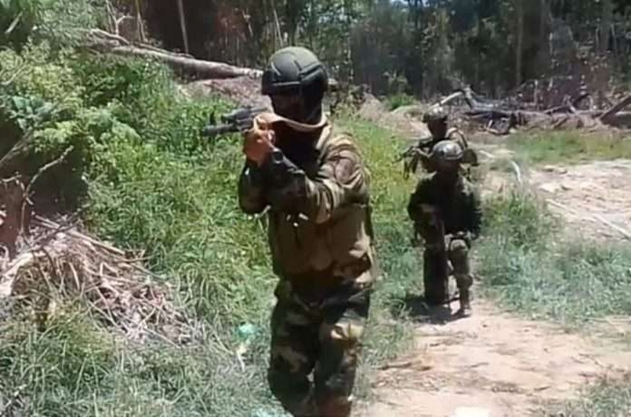 Eliminan 36 delincuentes del tren del llano