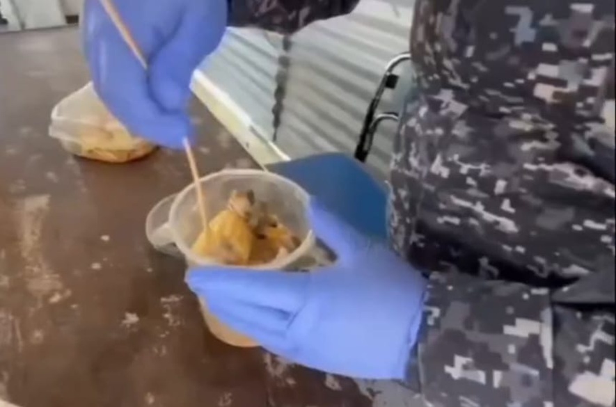 Intentaban ingresar al CPO con droga oculta en mazorcas