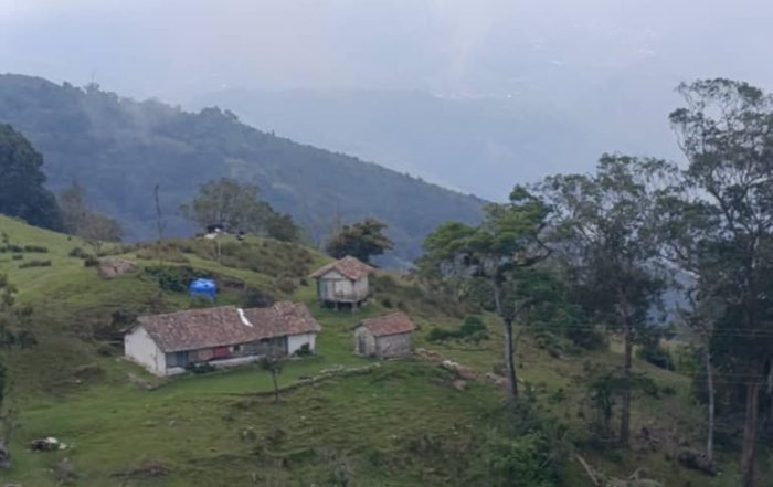 Navidad: Tu Reencuentro con la Naturaleza