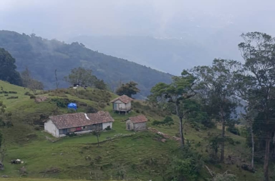 Navidad: Tu Reencuentro con la Naturaleza