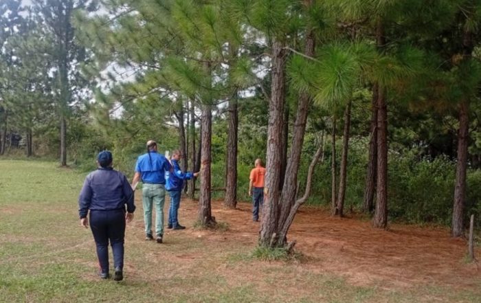 Autoridades inspeccionan zona afectada por desforestación en la Cueva del Oso