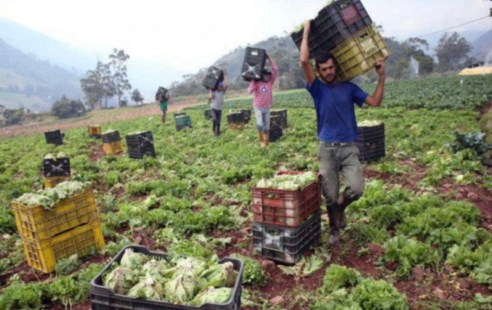 Productos agrícolas exigen frenar el contrabando por el Táchira
