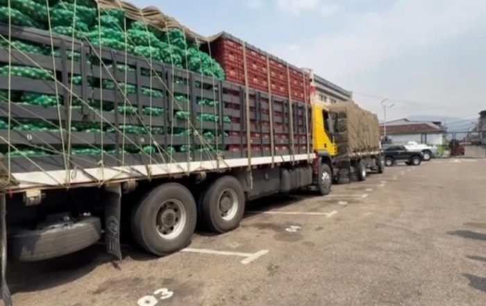 Contrabandistas detenidos con 40 toneladas de cebolla y cítricos