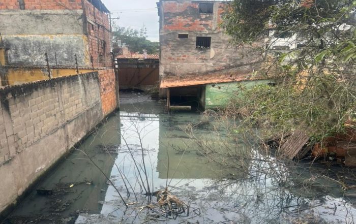 Denuncian foco de zancudos en propiedad abandonada en Barrio Obrero