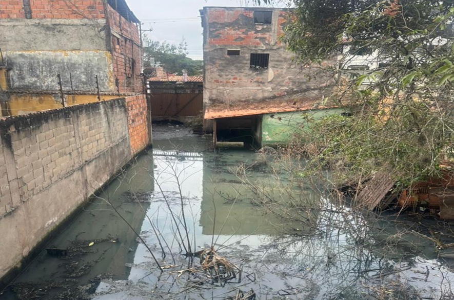 Denuncian foco de zancudos en propiedad abandonada en Barrio Obrero