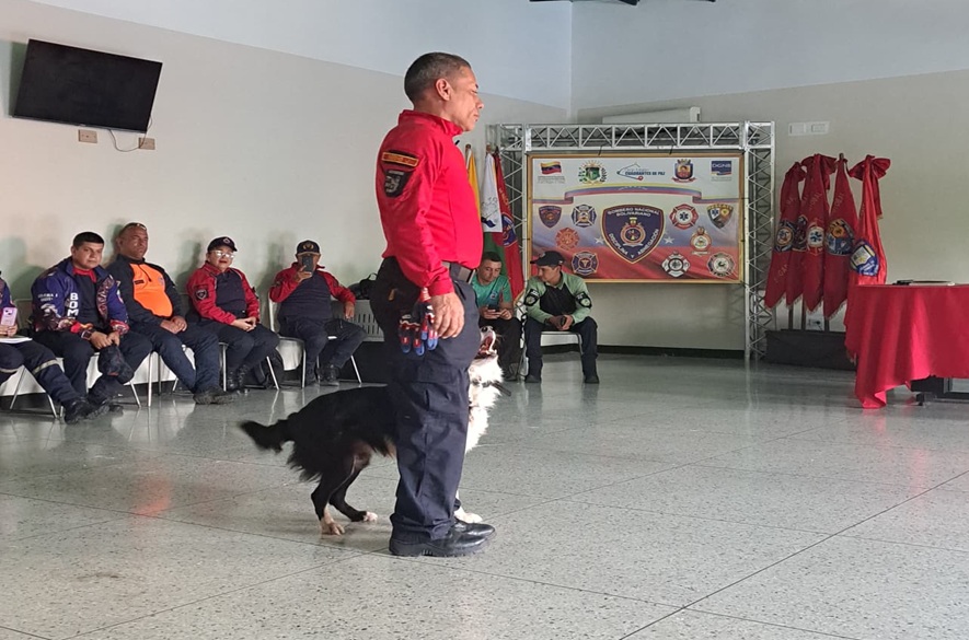Táchira se convierte en epicentro de la capacitación canina de alto nivel