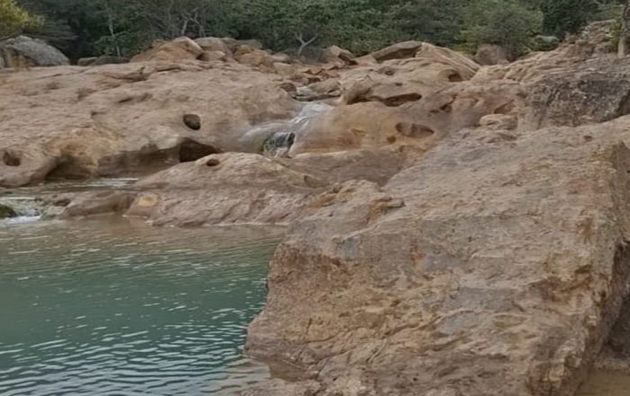 ¡Este Asueto se Vive al Límite! Descubre los Pozos Mágicos de Lobatera con Táchira Extremo