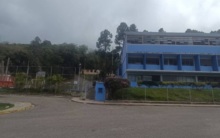 Capacho: Denuncian tala indiscriminada en el Liceo Román Cárdenas