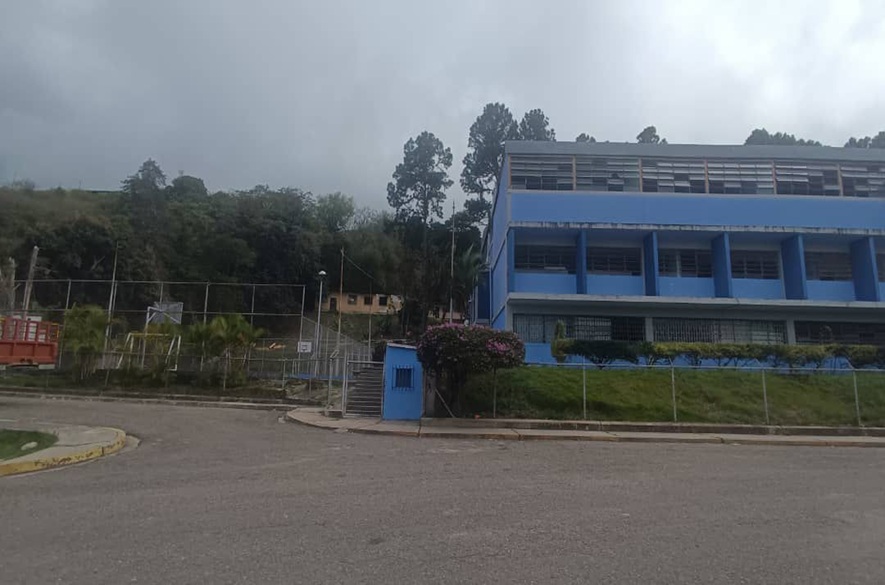 Capacho: Denuncian tala indiscriminada en el Liceo Román Cárdenas