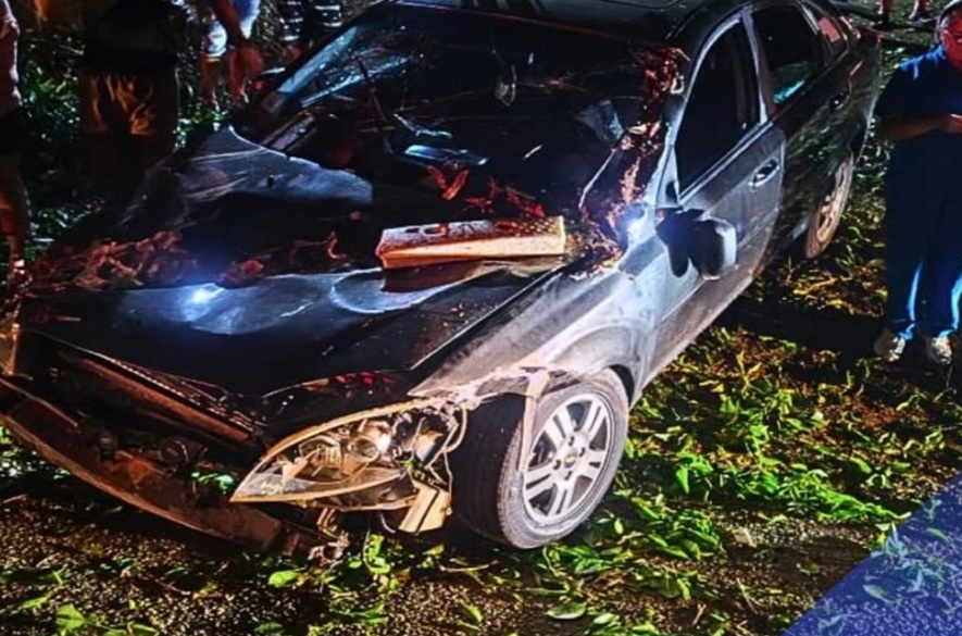 Táchira: Árbol de gran tamaño cayó sobre dos vehículos en Torbes