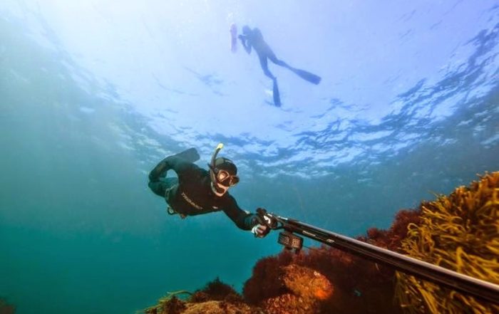 Venezuela: Equipo de pesca submarina a competir en los EEUU