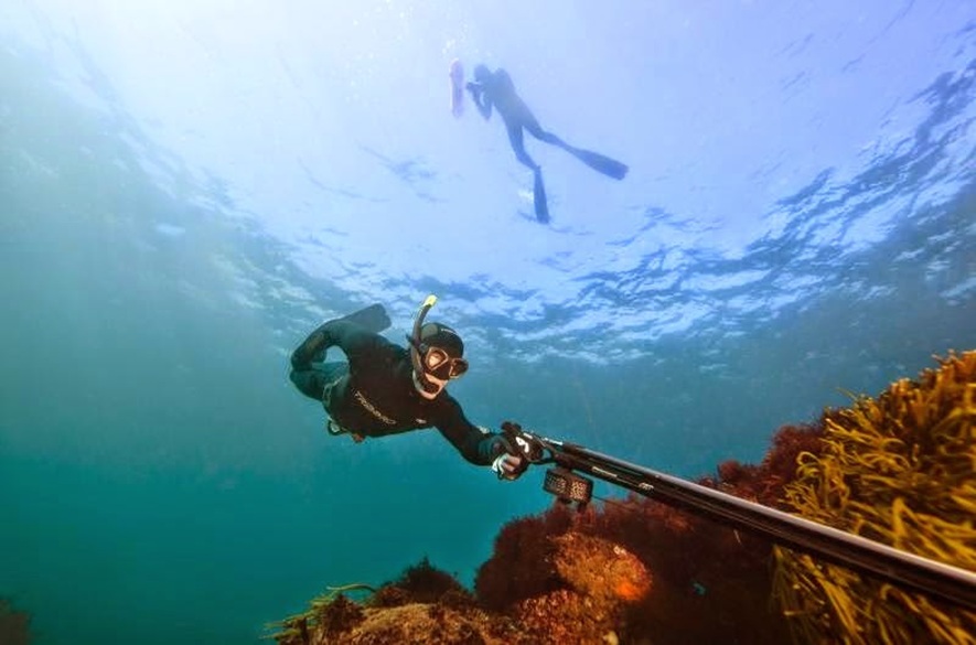 Venezuela: Equipo de pesca submarina a competir en los EEUU