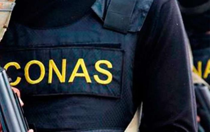Abatidos 10 delincuentes