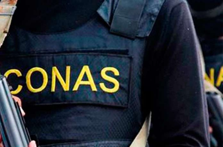 Abatidos 10 delincuentes