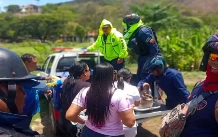 Abejas matan a un adulto mayor