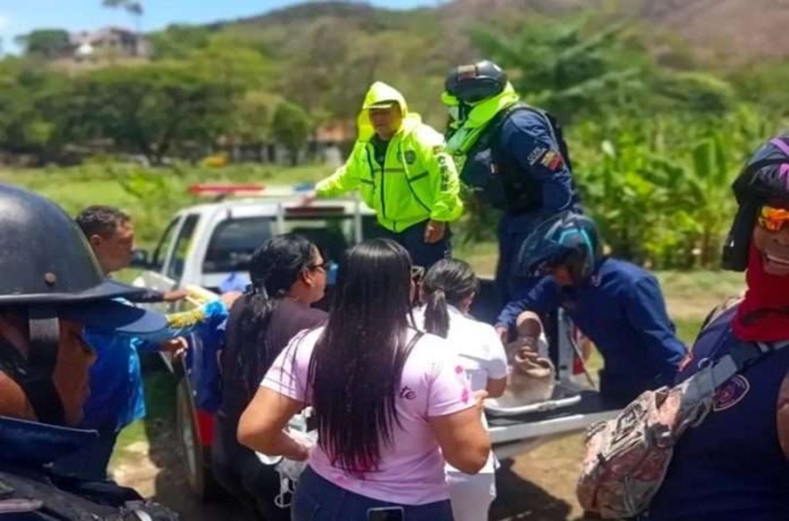 Abejas matan a un adulto mayor
