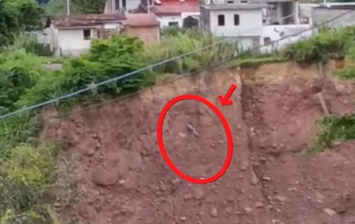 Táchira: Rescatan a un hombre que colgaba en un precipicio de 150 metros
