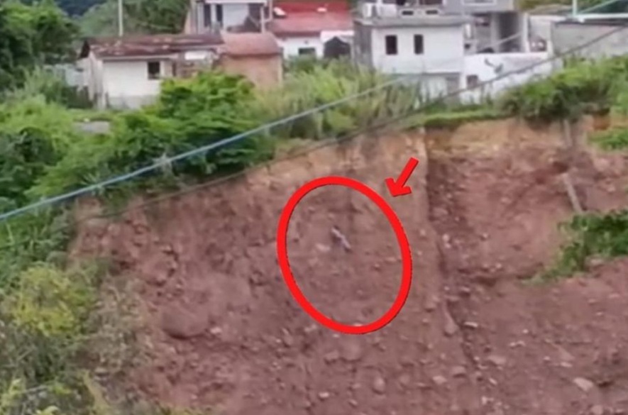 Táchira: Rescatan a un hombre que colgaba en un precipicio de 150 metros