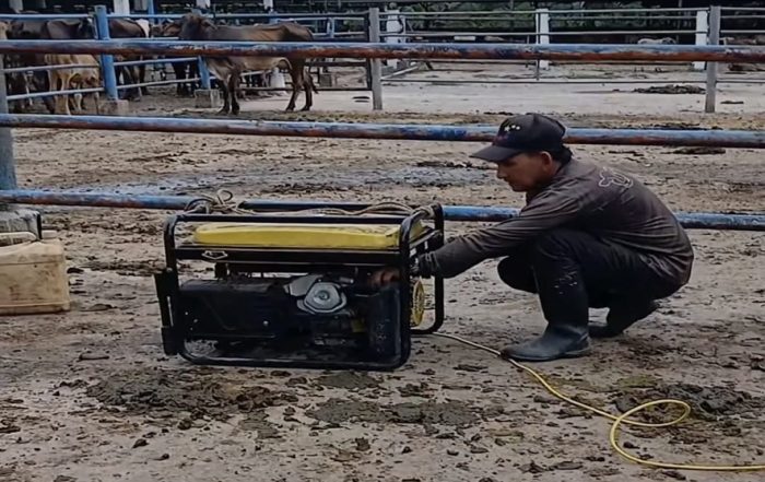 Productores del Táchira terminan su jornada a punta de plantas
