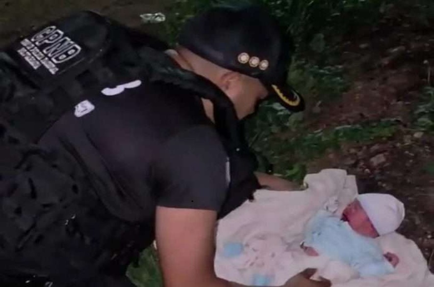Abandonan a bebe en zona boscosa