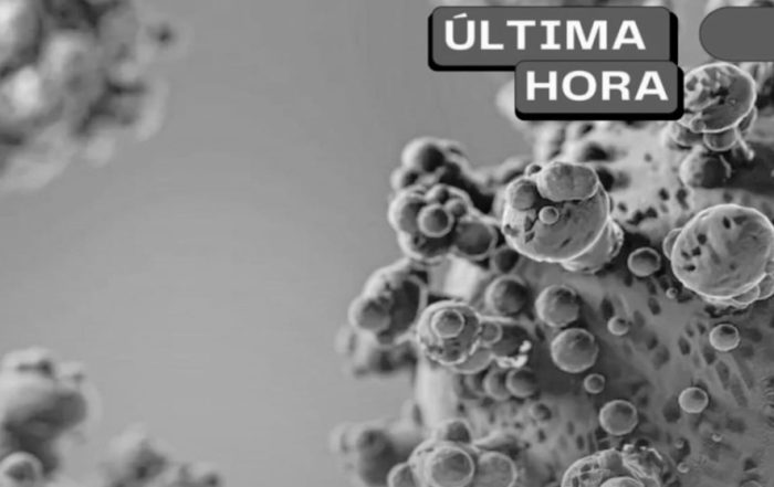 Ministerio de Salud confirma muerte de 3 personas por Hantavirus