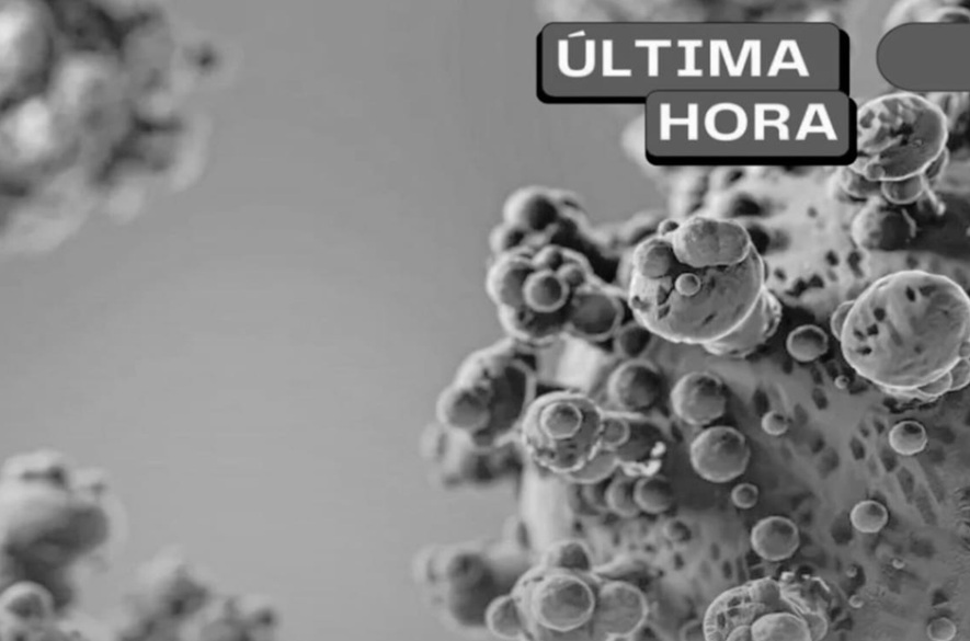 Ministerio de Salud confirma muerte de 3 personas por Hantavirus